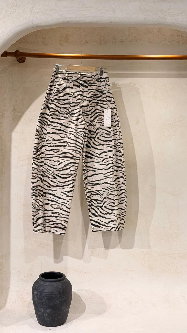 Barrel zebra